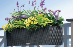Outdoor Planters Manufacturers in Delhi